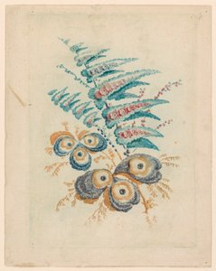Fantastisches Blumenmotiv aus Nouvelle Suitte de Cahiers de Fleurs Idéales von Jean Baptiste Pillement