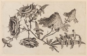 Blumenzweig, aus "Recueil de Fleurs Chinois" von Jean Baptiste Pillement