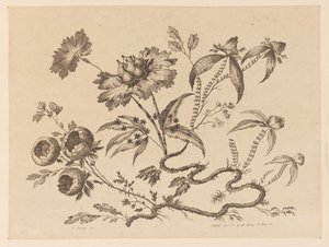 Blumenzweige, aus "Sammlung verschiedener Fantasieblumen im chinesischen Stil" von Jean Baptiste Pillement