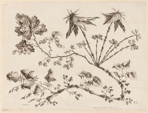 Blumenzweige, aus "Recueil de Differentes Fleurs de Fantaisie Dans le Goût Chinois" von Jean Baptiste Pillement