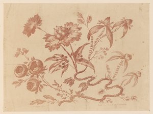 Blumenzweige, aus "Recueil de Differentes Fleurs de Fantaisie Dans le Goût Chinois" von Jean Baptiste Pillement