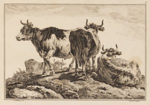 Tafel 6, aus "Cahier de Six Feuilles de Boeufs et Vaches" von Jean Baptiste Pillement
