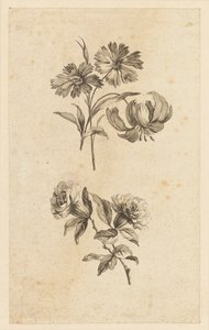 Zwei Blumensträuße