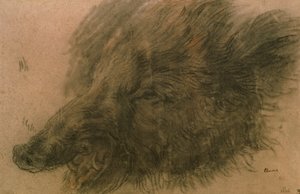 Kopf eines Wildschweins von Jean Baptiste Simeon Chardin