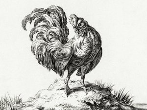 Huhn auf einem Hügel stehend