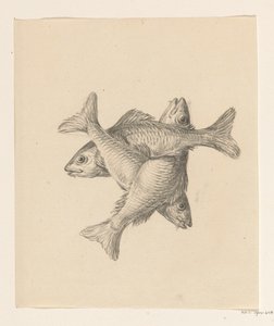 Drei kreuzweise angeordnete Fische von Jean Bernard