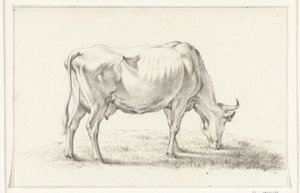 Weidende Kuh, nach rechts von Jean Bernard