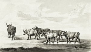 Gruppe von sechs Bullen von Jean Bernard