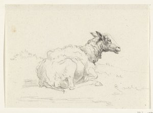 Liegendes Schaf, nach rechts von Jean Bernard