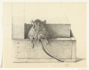 Maus (in einer Falle?) von Jean Bernard
