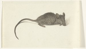 Maus, nach rechts von Jean Bernard