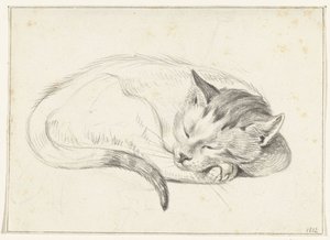 Zusammengerollte, schlafende Katze von Jean Bernard