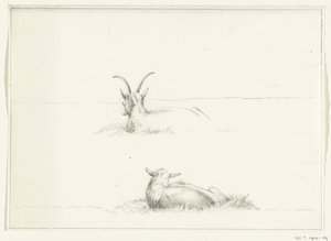 Skizzen von einer liegenden Ziege und einem Schaf, von hinten von Jean Bernard