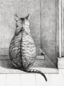 Sitzende Katze von hinten