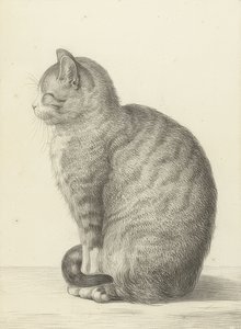 Sitzende Katze, nach links