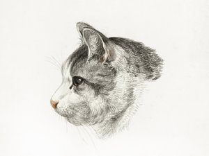 Skizze einer Katze (1819) von Jean Bernard (1775–1883) von Jean Bernard