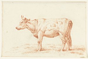 Stehende Kuh, nach links von Jean Bernard