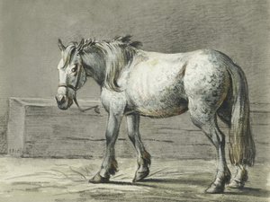 Stehendes Pferd (1810–1816) von Jean Bernard von Jean Bernard
