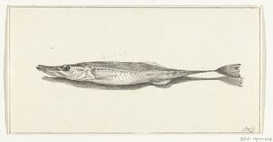Fisch von Jean Bernard