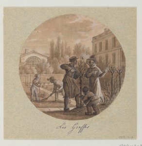 Entwurf für einen bemalten Porzellanteller, Les Greffes (Pfropfungen) aus dem Service de la Culture des Fleurs (Blumenkultivierungsdienst) von Jean Charles Develly