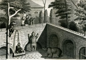 Bärenhöhle in einem Zoo von Jean Charles Werner