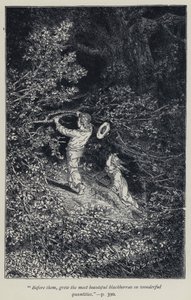„Vor ihnen wuchsen die schönsten Brombeeren in wunderbaren Mengen“ von Jean Edouard Dargent