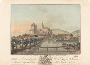 Ansicht von Thun von der Südseite