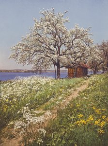 Schweiz: Maizeit