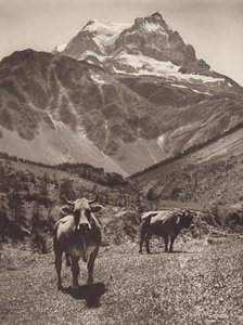 Schweiz: Der Tödi von Jean Gaberell