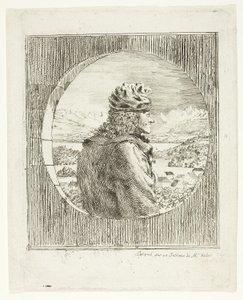 Voltaire im Profil gesehen