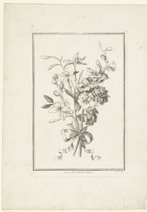 Blumenstrauß aus Jasmin und Rittersporn von Jean Jacques Avril (I)