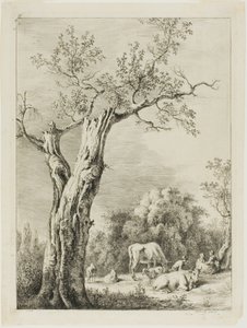 Frühling