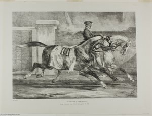 Pferde beim Üben, Tafel 6 aus Verschiedene Motive aus dem Leben und auf Stein gezeichnet (Die Englische Suite) von Jean Louis André Théodore Géricault