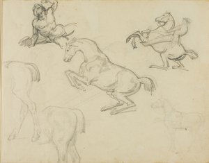 Skizzen: Liegender Akt, ein Reiter und verschiedene Pferde von Jean Louis André Théodore Géricault