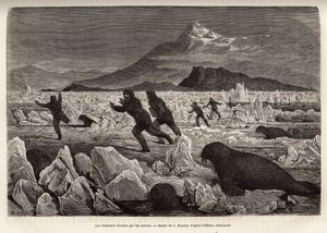 Ein Teil der Besatzung des Schiffes La Germania, auf den Clavering-Inseln, stieg auf das Eis, um zu jagen, wurde selbst von Walrossen gejagt, die aus dem Wasser kamen, graviert nach der Zeichnung von J. Moynet, zur Illustration einer Reise zum Nordpol 1869