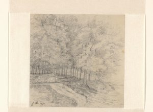 Landschaft mit Bäumen