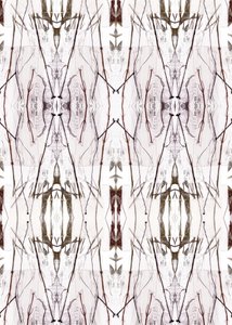 Symmetrisches Naturmuster von Jenja Braun