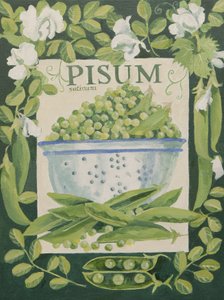 Pisum, Erbsen von Jennifer Abbott