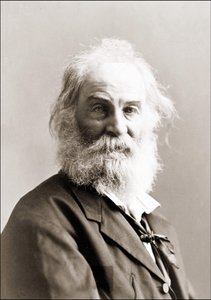 Porträt von Walt Whitman (1819 - 1892) von Gurney zwischen 1880 und 1890. von Jeremiah Gurney