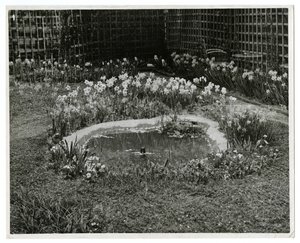 Garten von Mr & Mrs Wm H Wells, 265 W 11th St, New York, USA