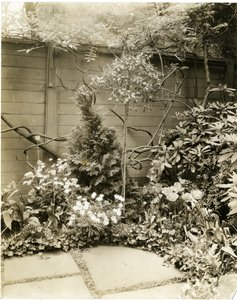 Herr und Frau John Morgan, 39 W 11 St, Greenwich Village, New York, USA, ca. 1939-40
