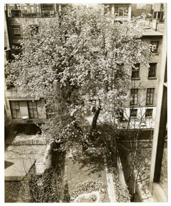 Mrs. W H Wells, 265 W 11th von Jessie Tarbox Beals