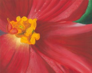 Lebendige rote Blüte