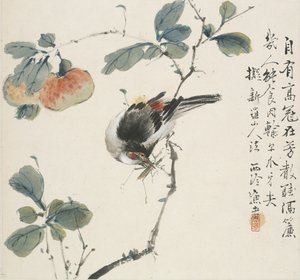 Ein chinesischer Hwamei, der eine Heuschrecke frisst, 1857