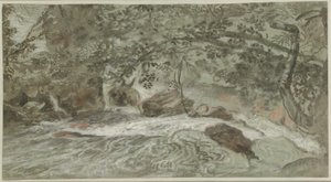 Stromschnellen mit überhängenden Ästen (verso) von Joachim Franz Beich