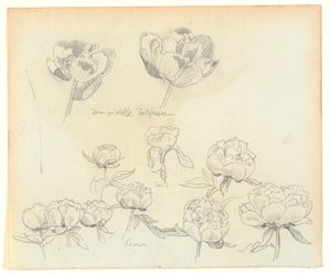 Blumenstudien von Joakim Frederik Skovgaard