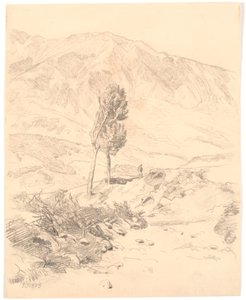 Italienische Berglandschaft mit zwei Bäumen von Joakim Frederik Skovgaard