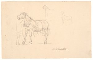 Drei Studien eines Pferdes von Joakim Frederik Skovgaard