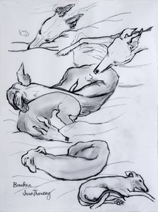 Bracken, der Windhund von Joan Thewsey