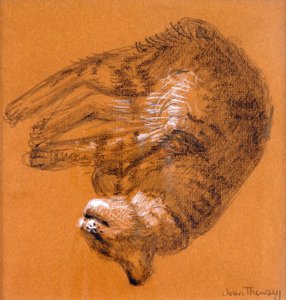 Schlafende getigerte Katze, 2005